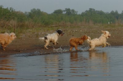 June2_07_201.JPG