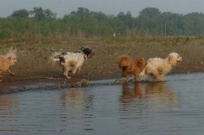 June2_07_203.JPG