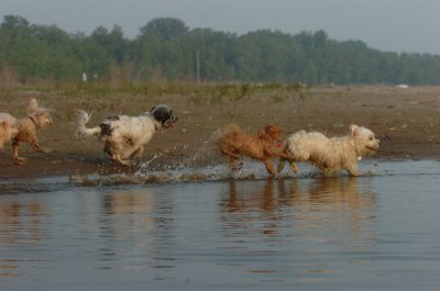 June2_07_205.JPG