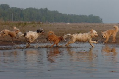 June2_07_206.JPG