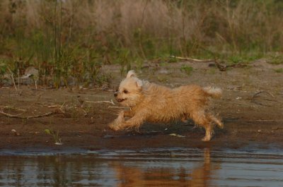 June2_07_223.JPG