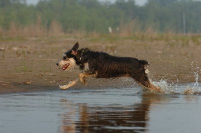 June2_07_233.JPG