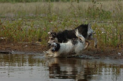 June2_07_248.JPG