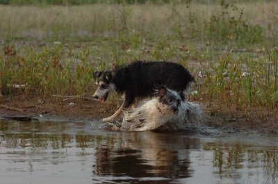 June2_07_249.JPG