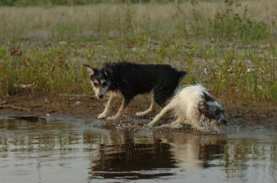 June2_07_250.JPG