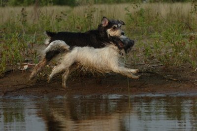 June2_07_251.JPG