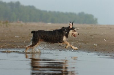 June2_07_262.JPG