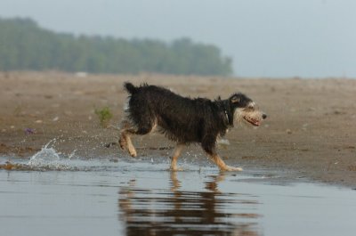 June2_07_263.JPG