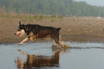 June2_07_273.JPG