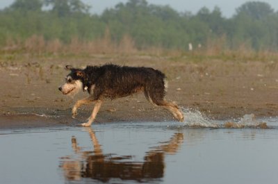 June2_07_276.JPG