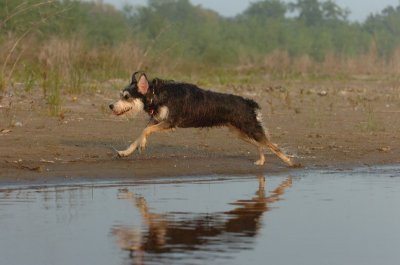 June2_07_278.JPG