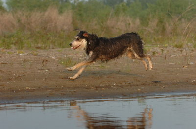 June2_07_280.JPG