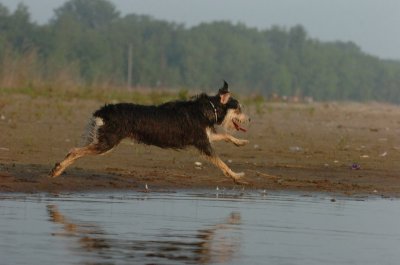 June2_07_283.JPG