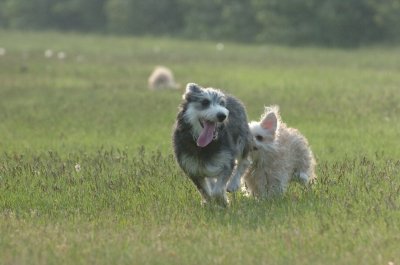June2_07_049.JPG