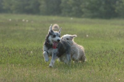 June2_07_050.JPG