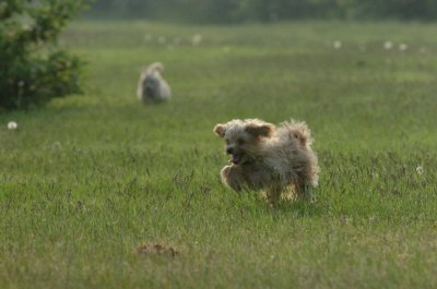 June2_07_053.JPG