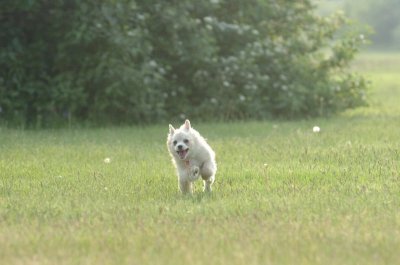 June2_07_054.JPG