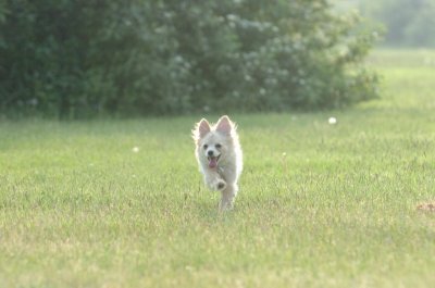 June2_07_055.JPG