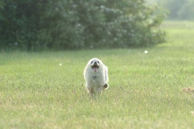 June2_07_056.JPG