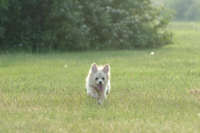 June2_07_057.JPG