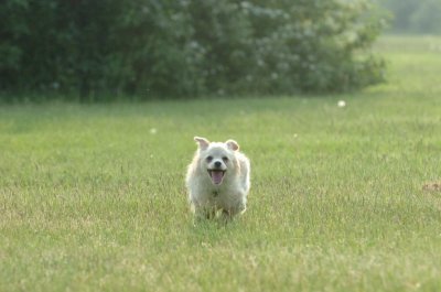 June2_07_058.JPG