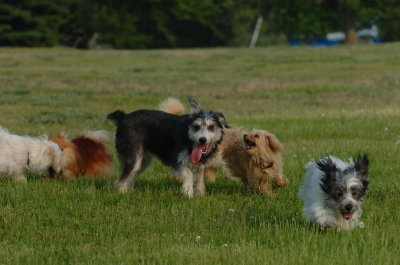 June2_07_059.JPG