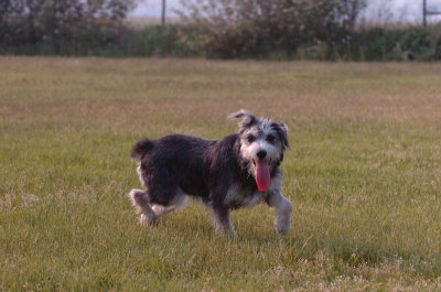 June2_07_062.JPG