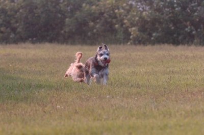 June2_07_064.JPG