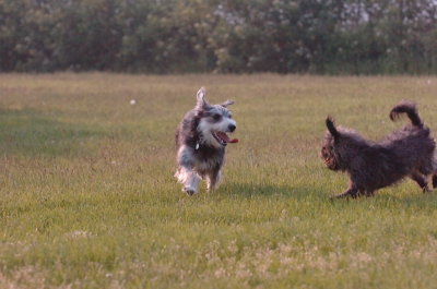 June2_07_066.JPG
