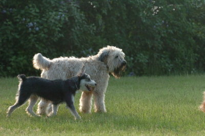 June2_07_087.JPG
