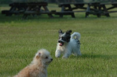 June2_07_089.JPG