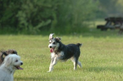 June2_07_092.JPG