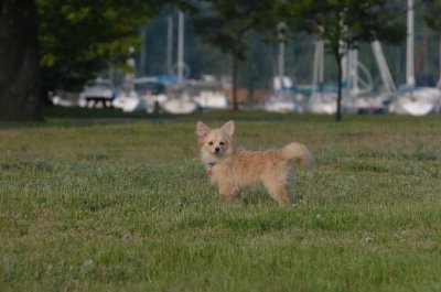 June2_07_093.JPG