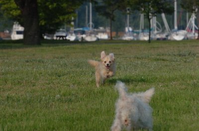 June2_07_095.JPG