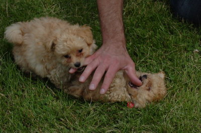June16_07_812.JPG