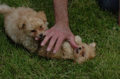 June16_07_813.JPG
