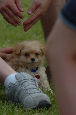 June16_07_840.JPG