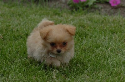 June16_07_885.JPG