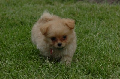 June16_07_886.JPG