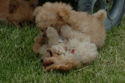 June16_07_891.JPG