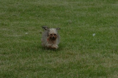June16_07_897.JPG