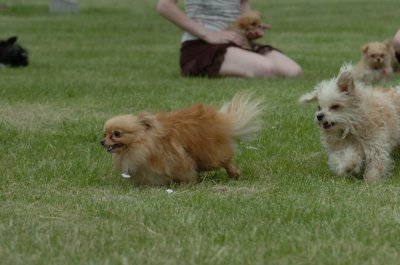 June16_07_483.JPG