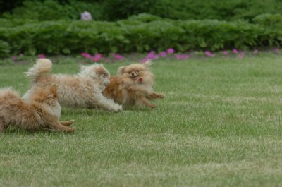 June16_07_487.JPG