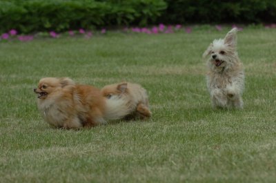 June16_07_489.JPG