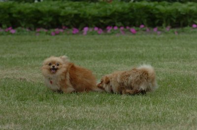 June16_07_491.JPG