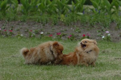 June16_07_502.JPG