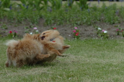 June16_07_504.JPG