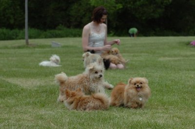 June16_07_515.JPG