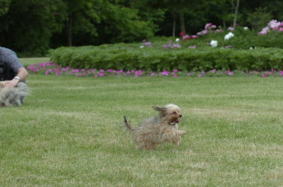 June16_07_548.JPG