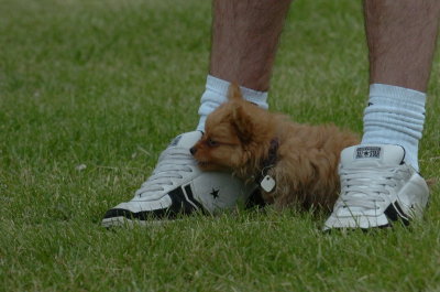June16_07_568.JPG